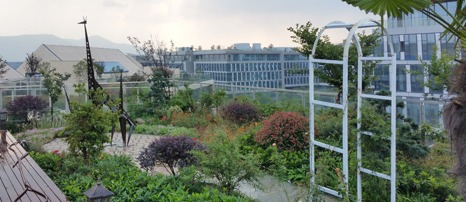 南京萬(wàn)通城市建設設計院弱電系統項目案例。