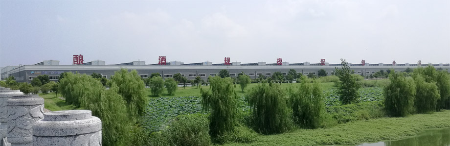 江蘇洋河酒廠(chǎng)股份有限公司外景